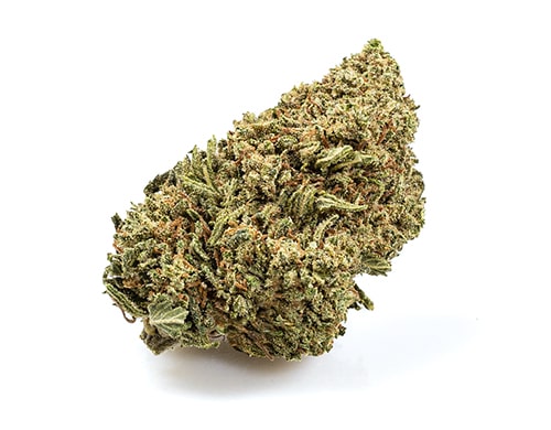 CBD Weed of Dos Si Dos variety