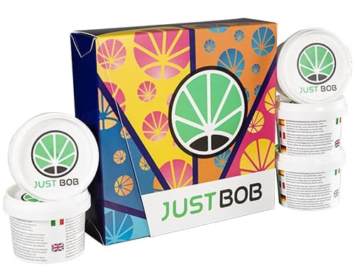 kit happy2022 Silver with 5 genetics of CBD weed