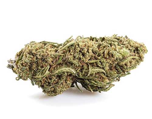 Bud of Lemon Cheese CBD weed
