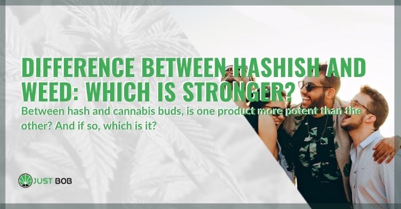 Between hashish and weed which is stronger?