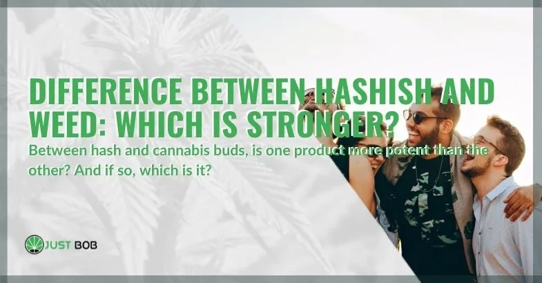 difference-between-hashish-and-weed-which-is-stronger Between hashish and weed which is stronger?