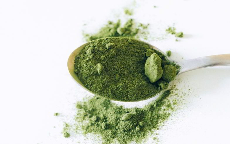 hemp protein powder