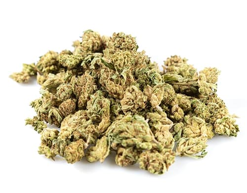 bubblegum small cbd