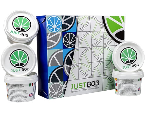 kit gold winter with 5 genetics of CBD bud
