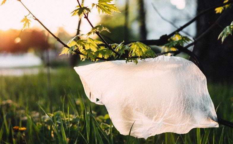 Plastic pollution