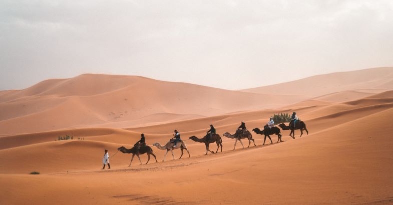 Desert Arabia