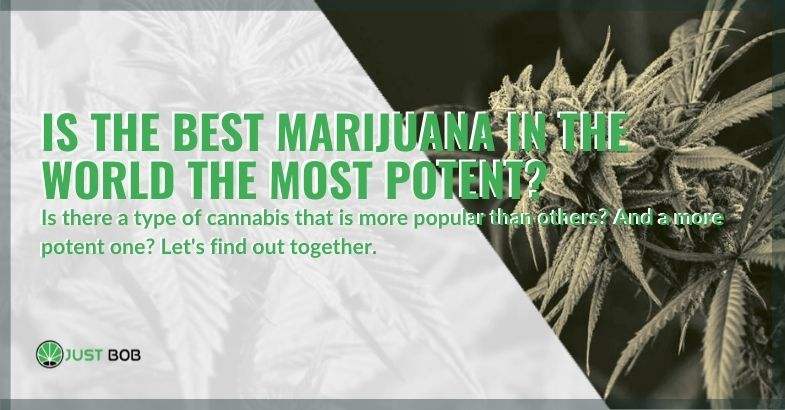Is the best marijuana the most potent?