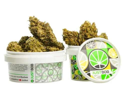 AK47 CBD BOOST cbd weed in a white container
