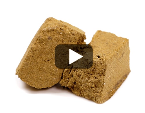 Bourbuka-legal-hash