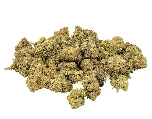 bubblegum small cbd buds