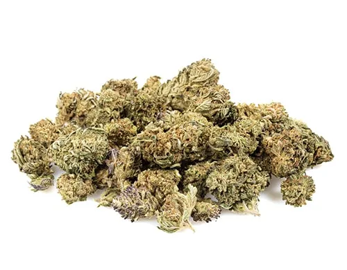 california haze small cbd buds