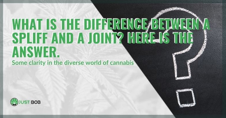 Differences between spliff and joint