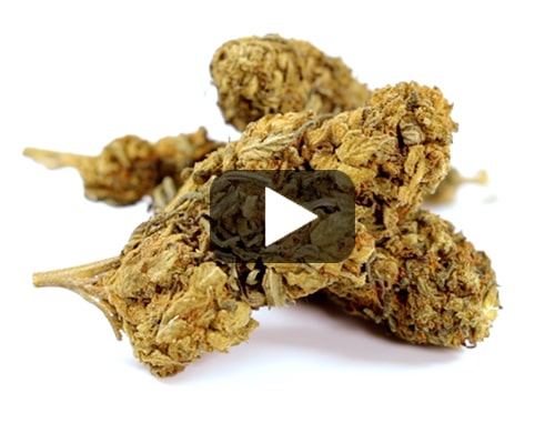 outdoor-mix-CBD-weed