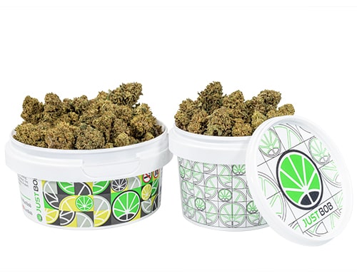 tin with flowers of bubblegum small cbd cannabis
