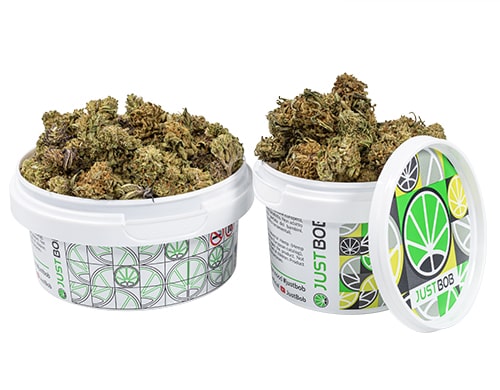 tin with flowers of california small cbd cannabis