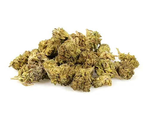 HQ-cbd-boost-cbd-small-buds