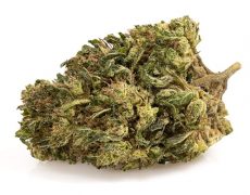 ak47-cbd-boost-small-cbd-buds