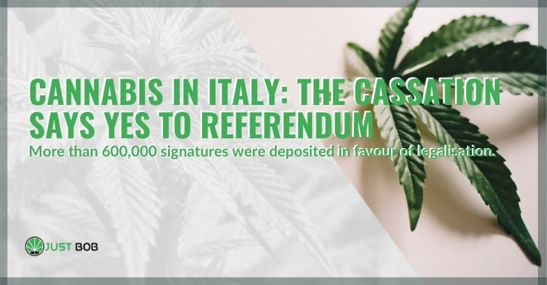 The Italian court of cassation says yes to the referendum for cannabis
