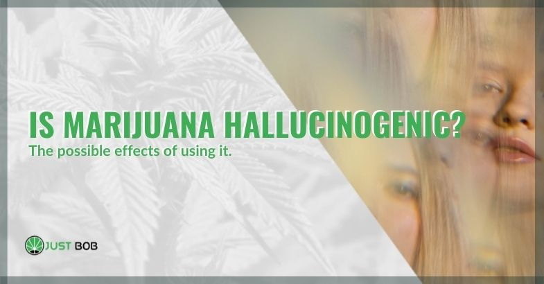 Does marijuana have hallucinogenic effects?