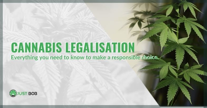 All information on the legalisation of cannabis