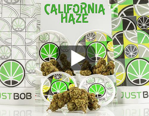 california-haze-video-cbd-gras