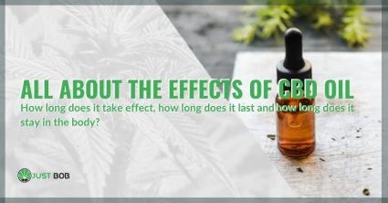 All information on the effects of CBD oil