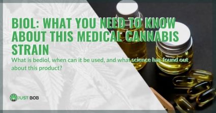 All about Bediol medical cannabis