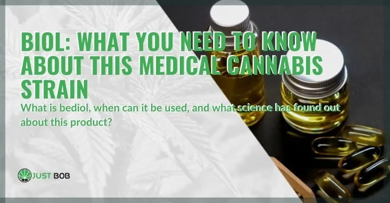 all-about-Bediol-medical-cannabis All about Bediol medical cannabis
