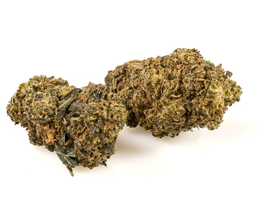 amnesia-cbd-boost-small-cbd-buds