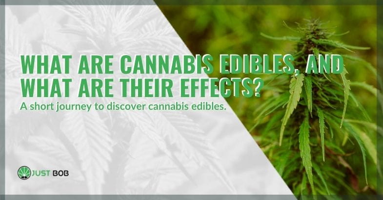 Cannabis edibles: what they are and effects