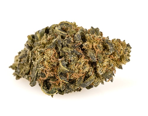 little-cbd-flowers-of-amnesia-boost