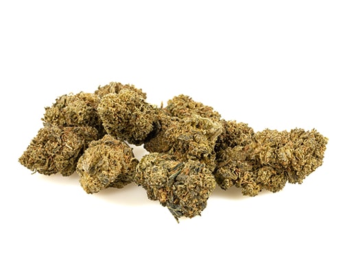 small-cbd-buds-of-amnesia-cbd-boost-quality