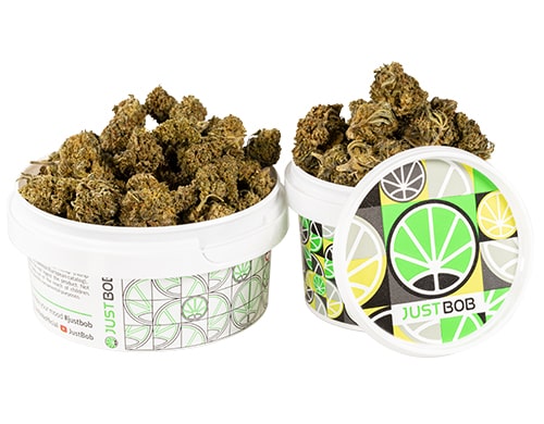 tin-with-flowers-of-amnesia-cbd-boost-cannabis