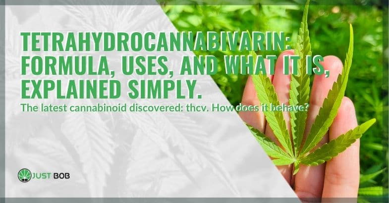 What is it, formula and uses of Tetrahydrocannabivarin