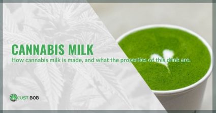 How it is made and properties of cannabis milk