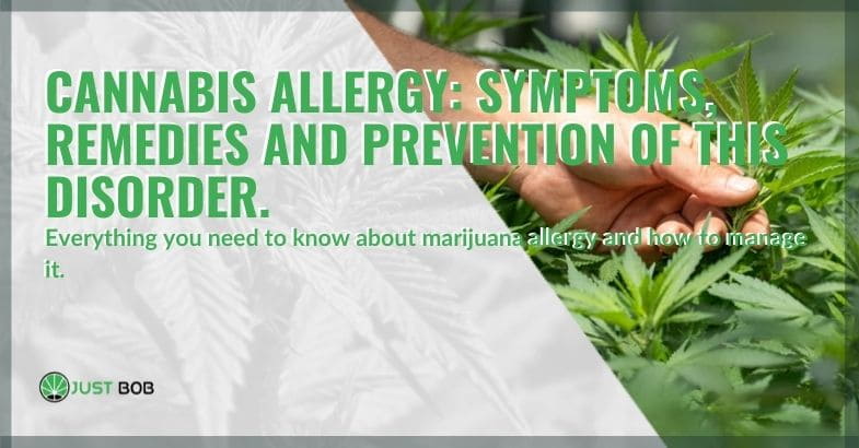 Symptoms and remedies for cannabis allergy