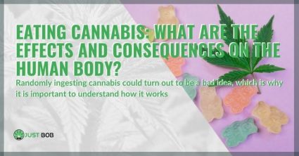 effects-consequences-of-eating-cannabis The effects and consequences of eating cannabis