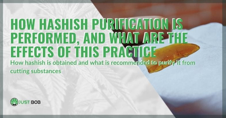 Hashish purification: how it is performed and the effects