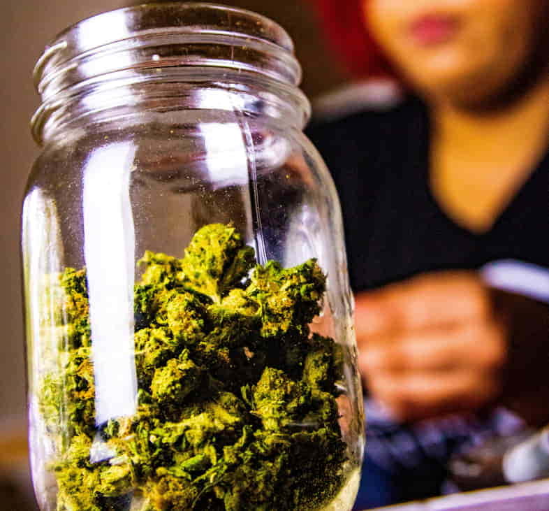 Jar filled with marijuana buds