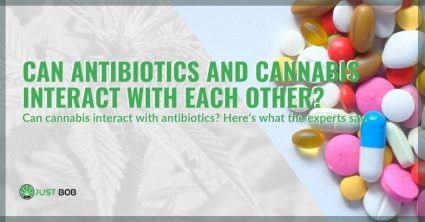 The interaction of cannabis with antibiotics