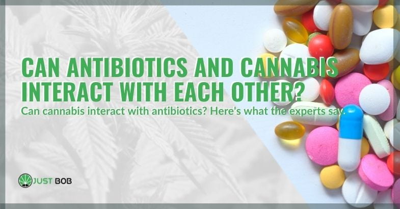 The interaction of cannabis with antibiotics