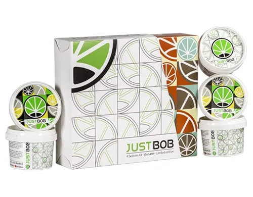 kit Autumn Silver with 5 genetics of CBD weed