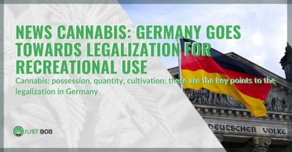 Germany towards the legalisation of cannabis