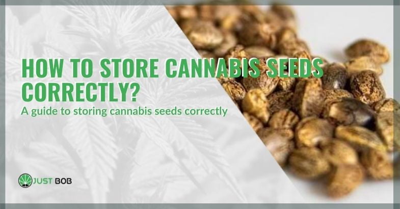 Cannabis seed storage guide