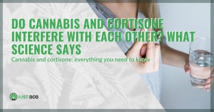 The interaction between cannabis and cortisone