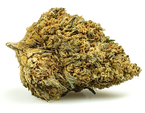 GELATO CBD BOOST-cbd-buds