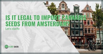 Is importing cannabis seeds from Amsterdam legal?