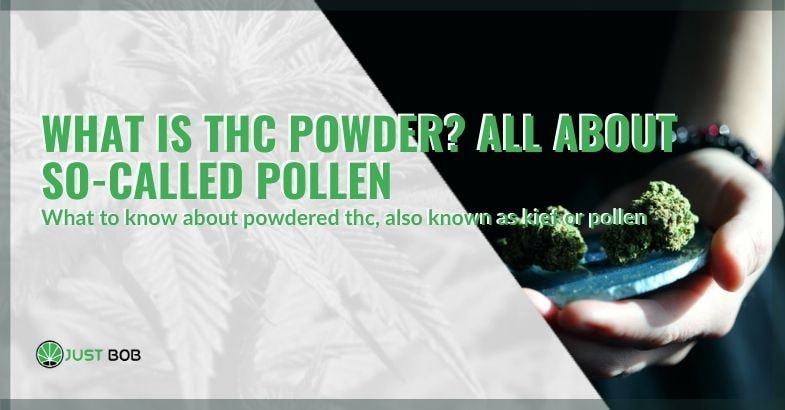 What is THC powder