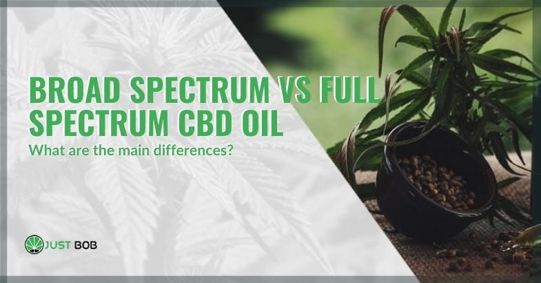 CBD oil differences broad spectrum and full spectrum | Justbob