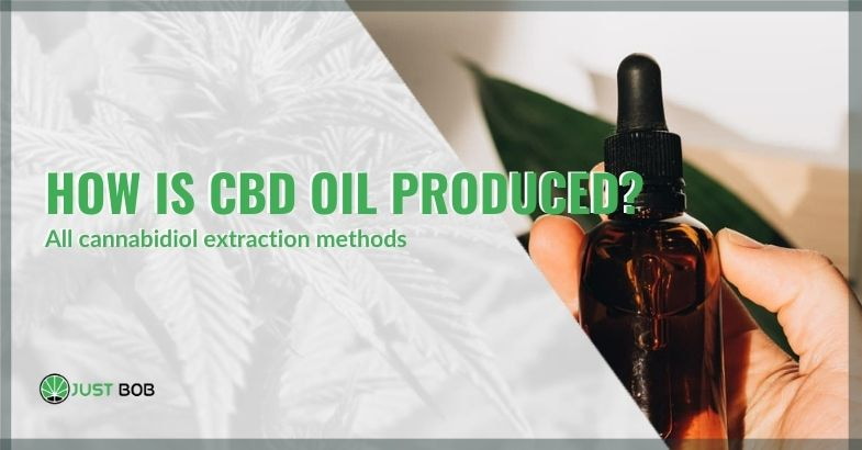 CBD oil how it is produced | Justbob